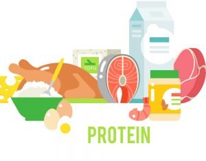پروتئین بدنسازی پگاه