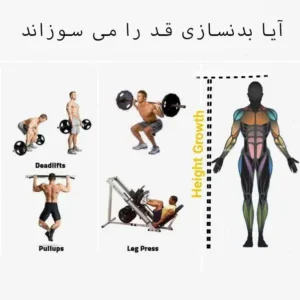 پرورش اندام قد کوتاه می کنه؟