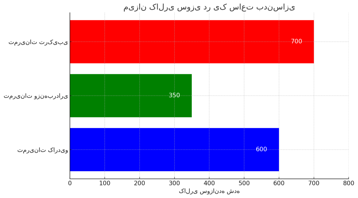 کالری سوزی در بدن سازی