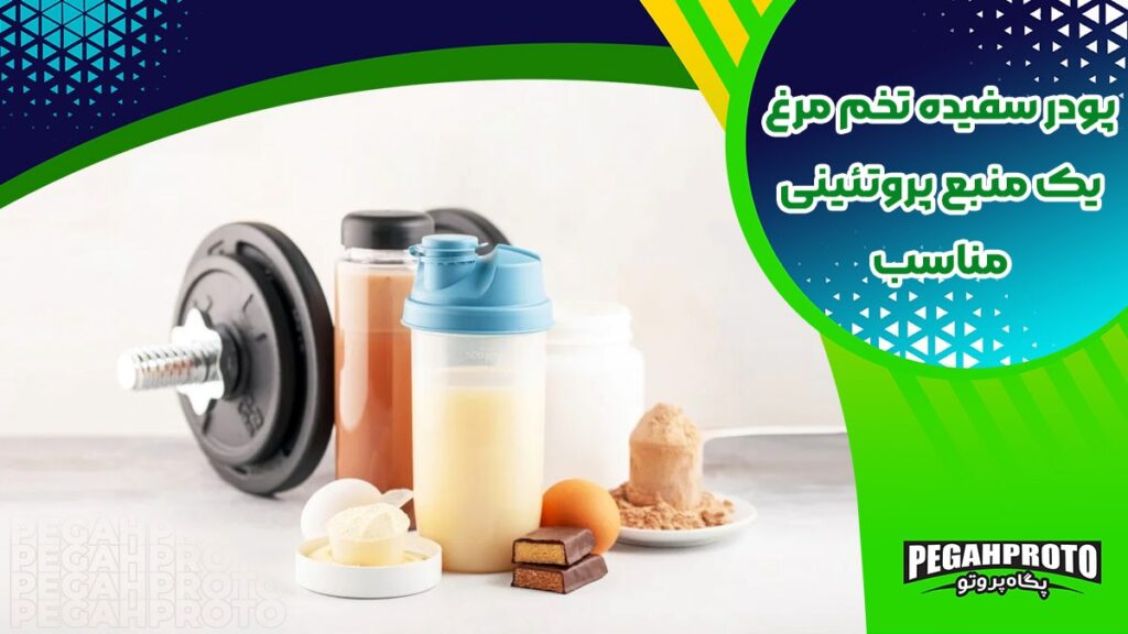 فوائد پودر سفیده تخم مرغ در بدنسازی