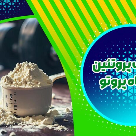 صادرات پروتئین در پگاه پروتو