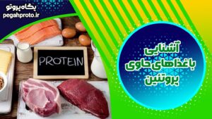معرفی انواع پروتئین‌های بدنسازی|کدام گزینه برای شما مناسب‌تر است؟
