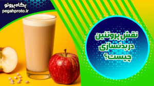 نقش پروتئین در بدنسازی چیست؟